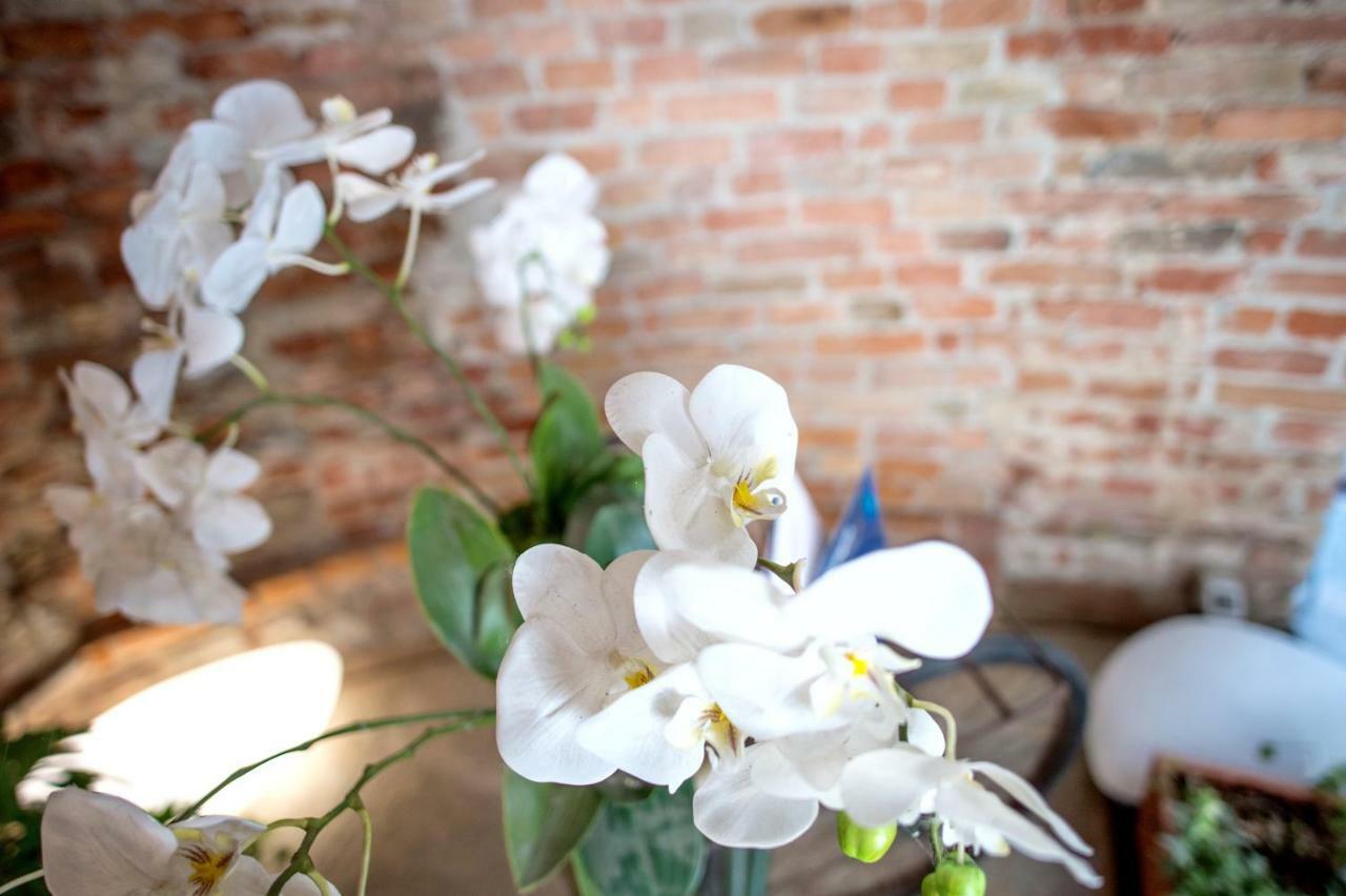 La Canonica - Charming Self-Catering Apartments In นิซซา มอนแฟร์ราโต ภายนอก รูปภาพ
